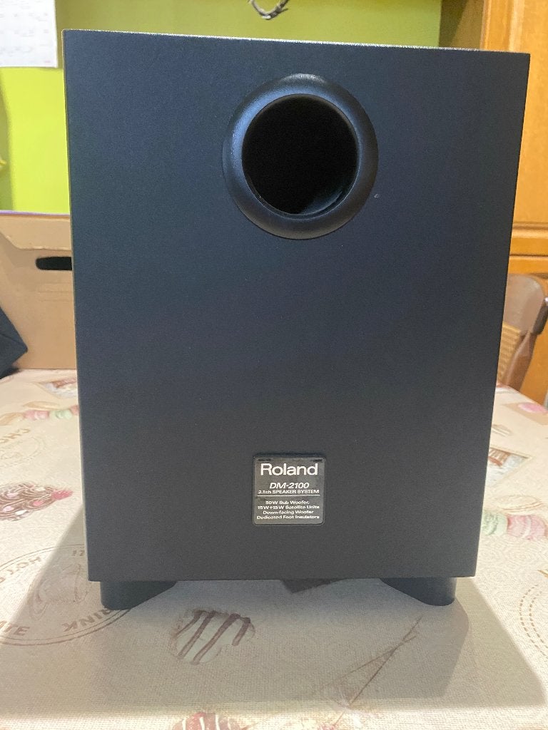 Roland DM-2100 Speakers, Ophalen, Gebruikt, Roland