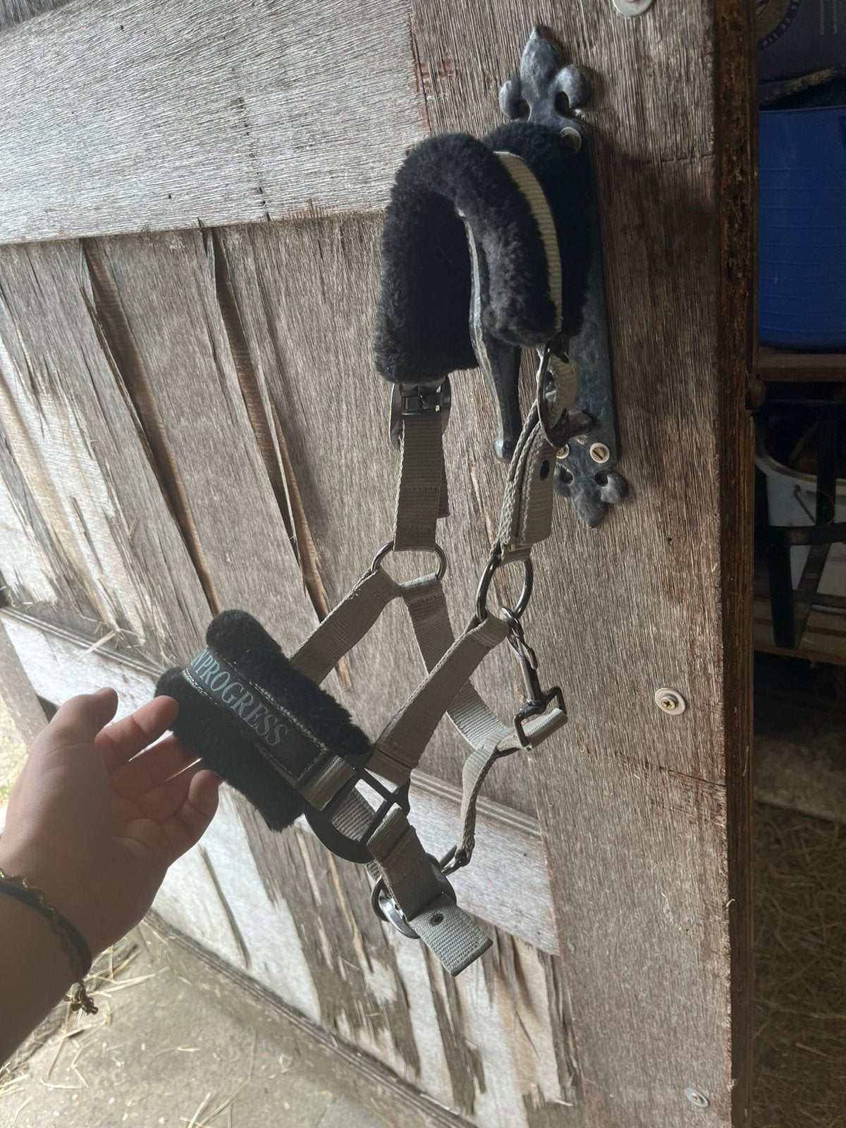Shetlander spullen te koop, Dieren en Toebehoren, Ophalen, Shetlander, Zo goed als nieuw, Halster