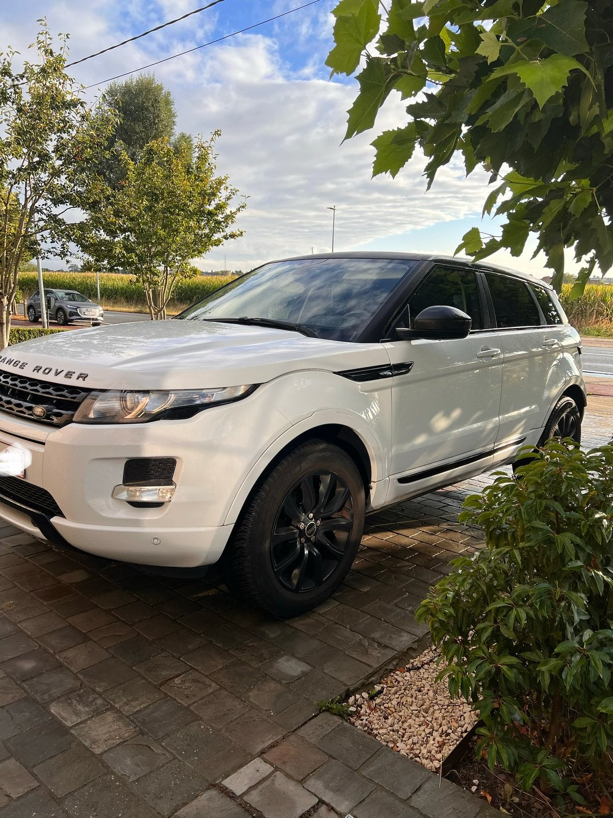Range Rover Evoque 2.2 TD4 150pk – Panoramadak, Zwart, Wit, Diesel, Particulier