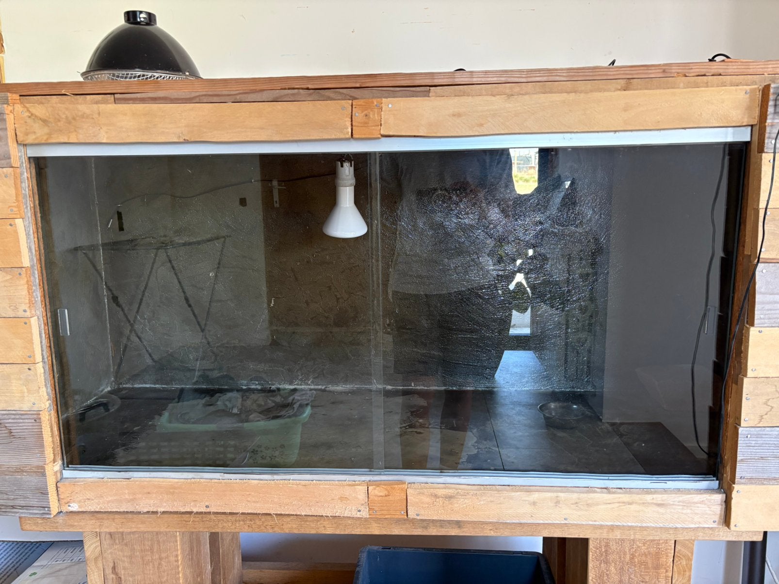 Groot terrarium, Dieren en Toebehoren, Ophalen, Gebruikt