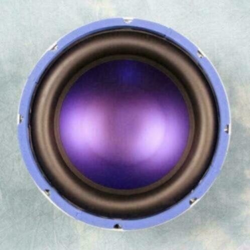 10 inch subwoofer 250 Watt 4 Ohm L042AKJO, Ophalen of Verzenden, Nieuw