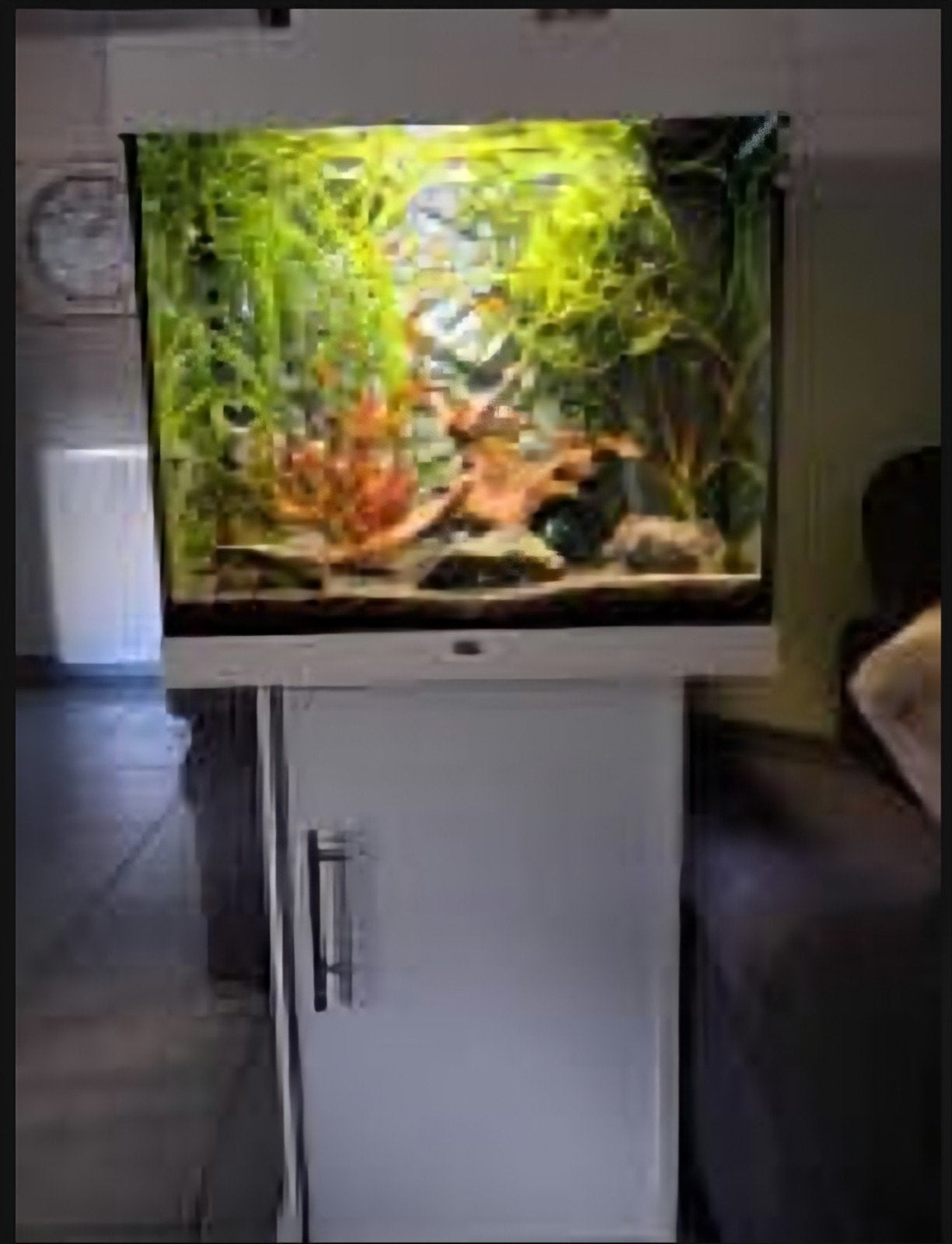 Lido 120 aquariumset  160€, Ophalen