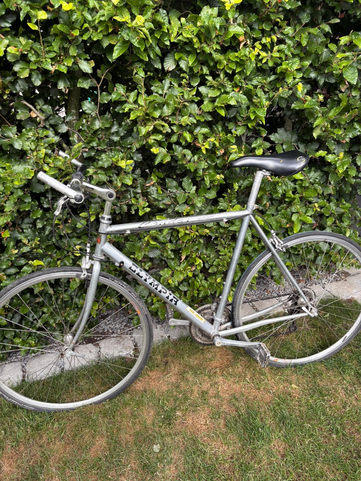 Herenfiets aluminium Olympia, Fietsen en Brommers, Ophalen, Gebruikt, Overige merken, Versnellingen