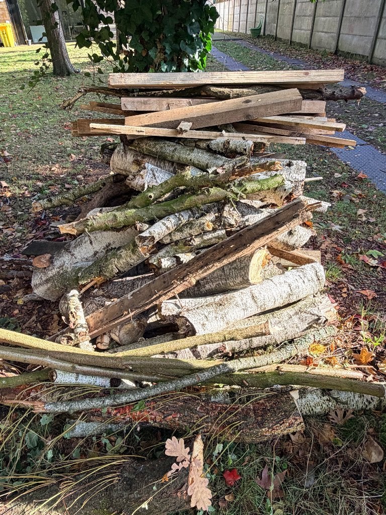 Brandhout te koop, Moins de 3 m³, Enlèvement, Bouleau, Troncs d'arbres