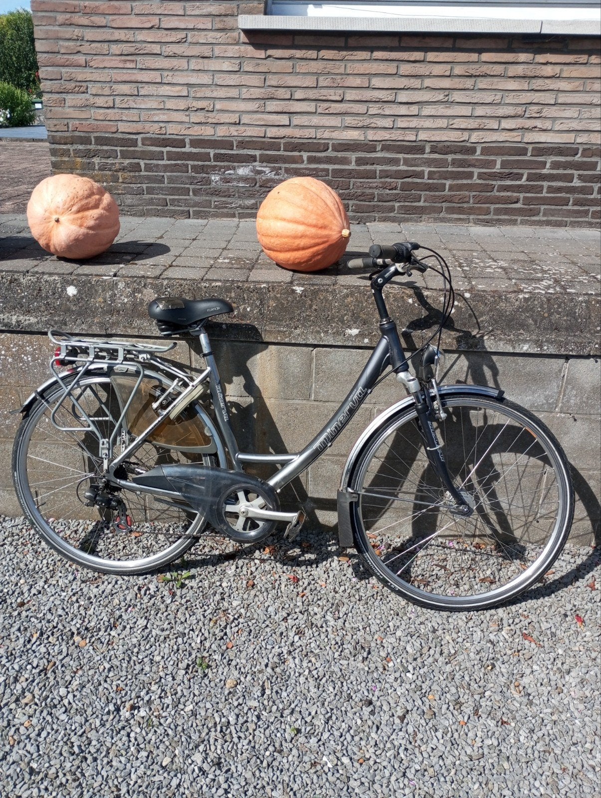 Minerva damesfiets met 7 versnellingen, Enlèvement, Vitesses