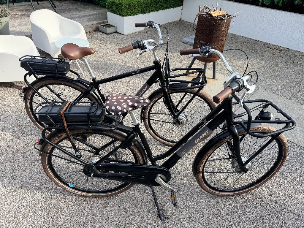 Giant Triple X Alu Elek. fietsen (dames & heren), Enlèvement, Utilisé, 50 km par batterie ou plus, Giant
