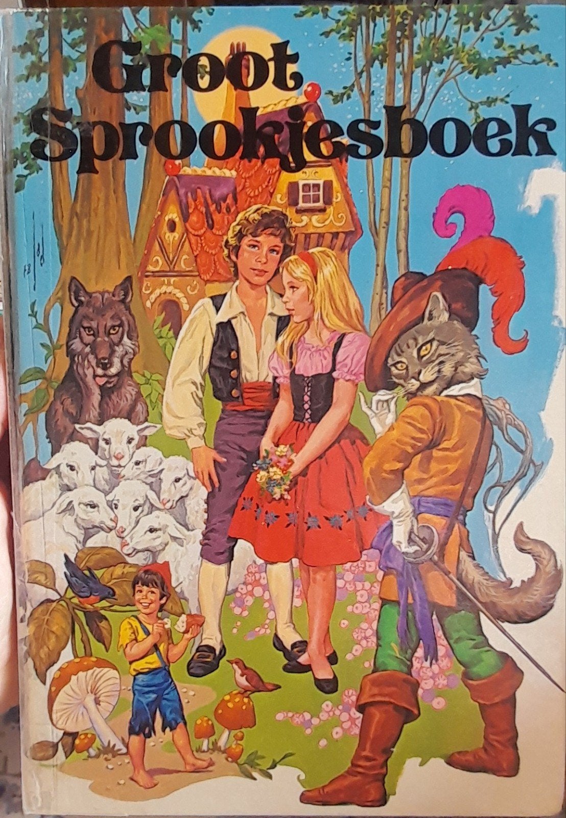 Boek Grote Sprookjesboek, Boeken, Ophalen of Verzenden