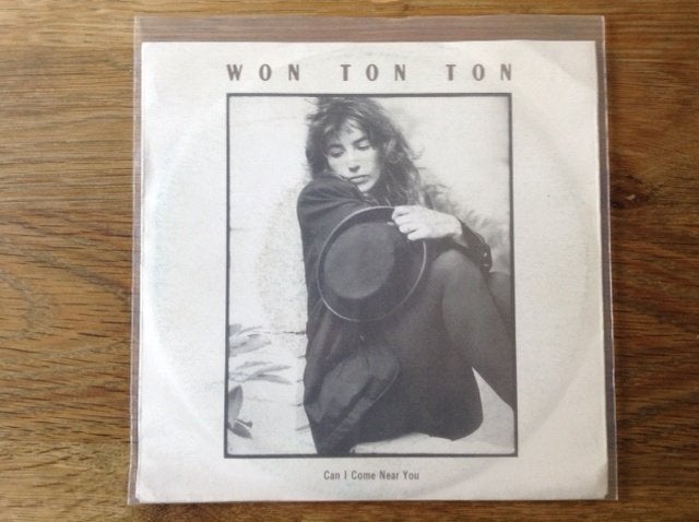 single won ton ton, Cd's en Dvd's, 7 inch, Ophalen of Verzenden, Pop, Beschermende buitenhoes