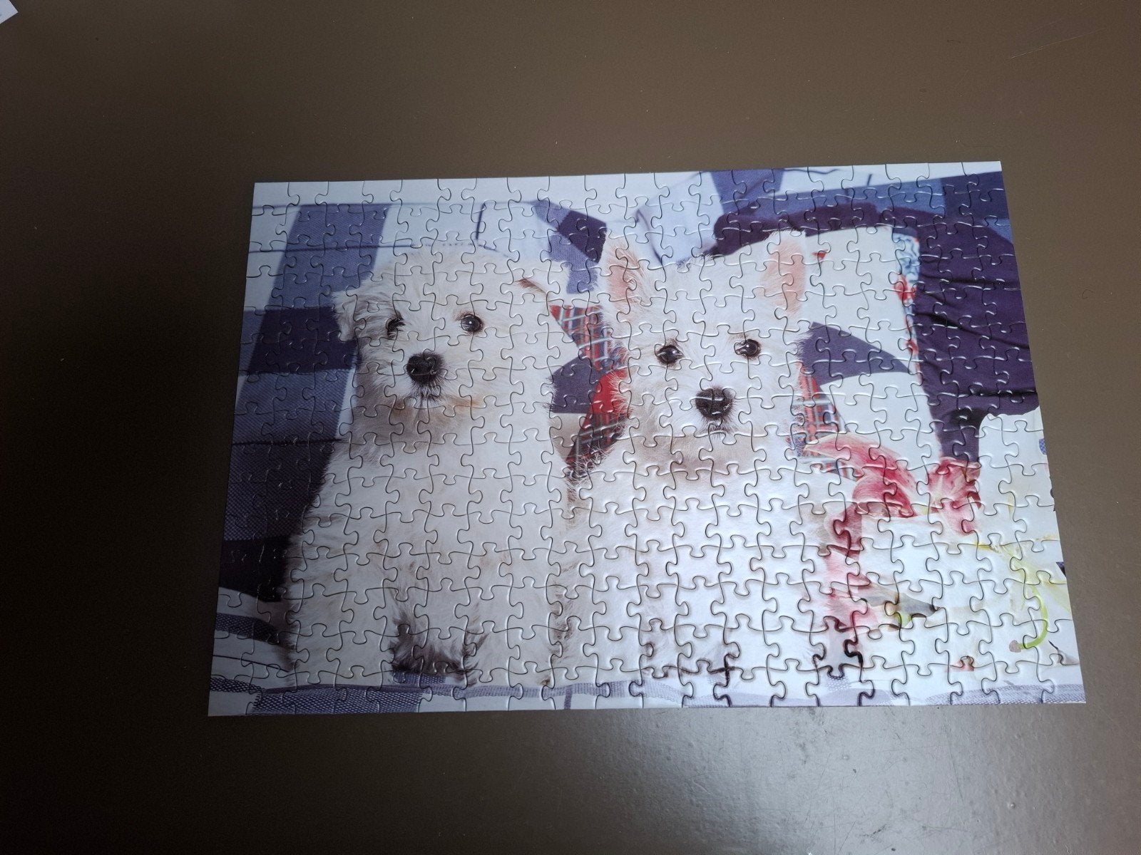 legpuzzel West Highland terriers 300 stukjes, Ophalen, Legpuzzel