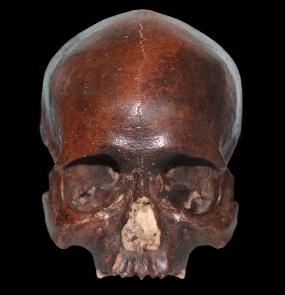 Homo sapiens, Ophalen of Verzenden, Fossiel