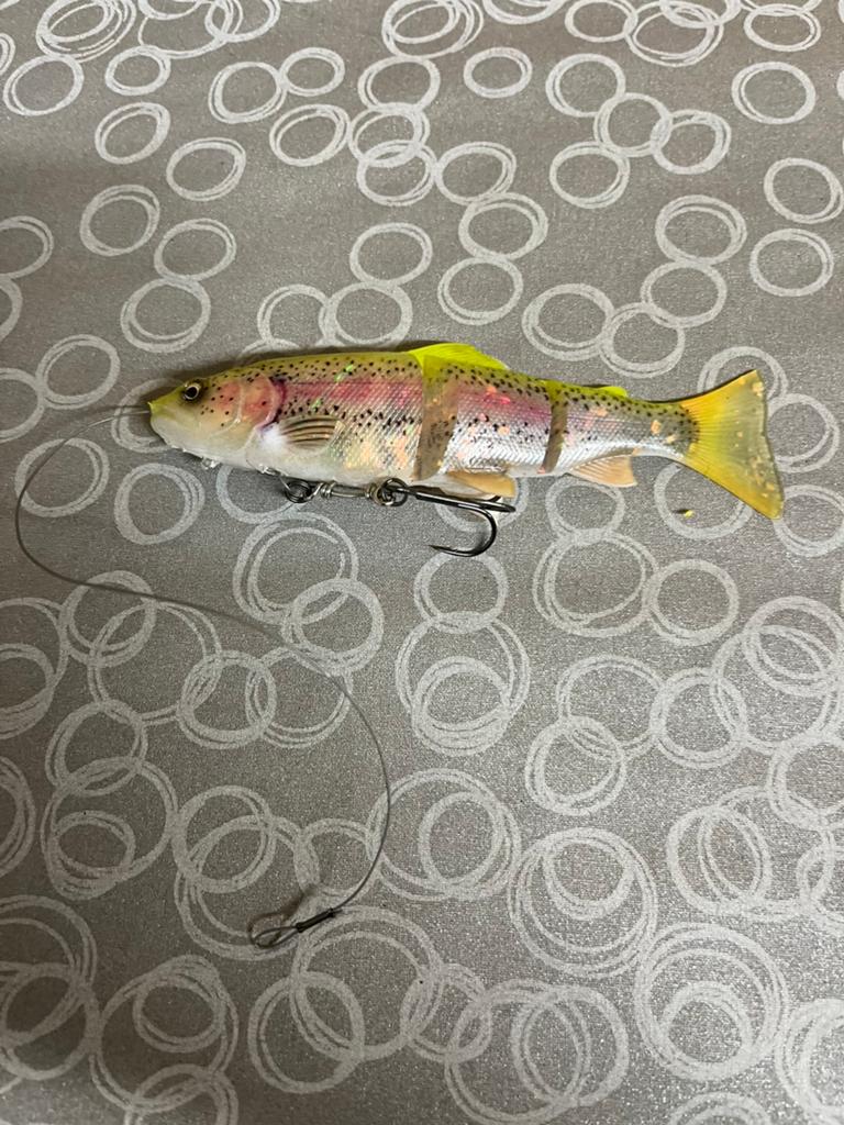 Savage gear Line trhu trout 3d, Enlèvement ou Envoi, Neuf, Autres types