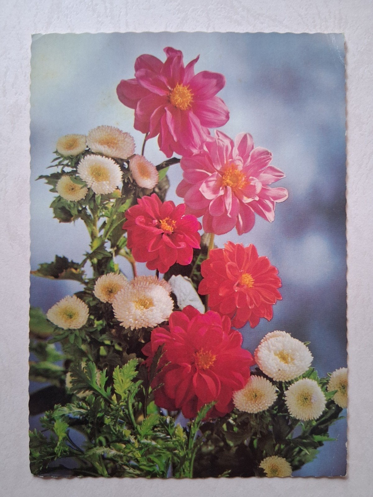 postkaart Bloemen, Verzamelen, Postkaarten | Themakaarten, Ophalen of Verzenden