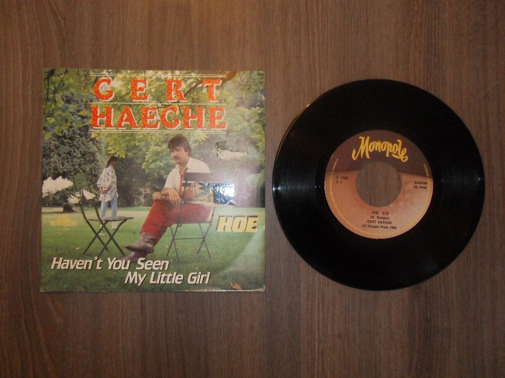 Gert Haeghe - Hoe, Enlèvement ou Envoi, Utilisé, 7 inch, Chanson réaliste ou Smartlap