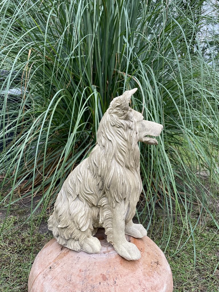 Collie Lassie hond zittend, gazon, tuin 50cm, Ophalen, Nieuw, Kunststof, Dierenbeeld
