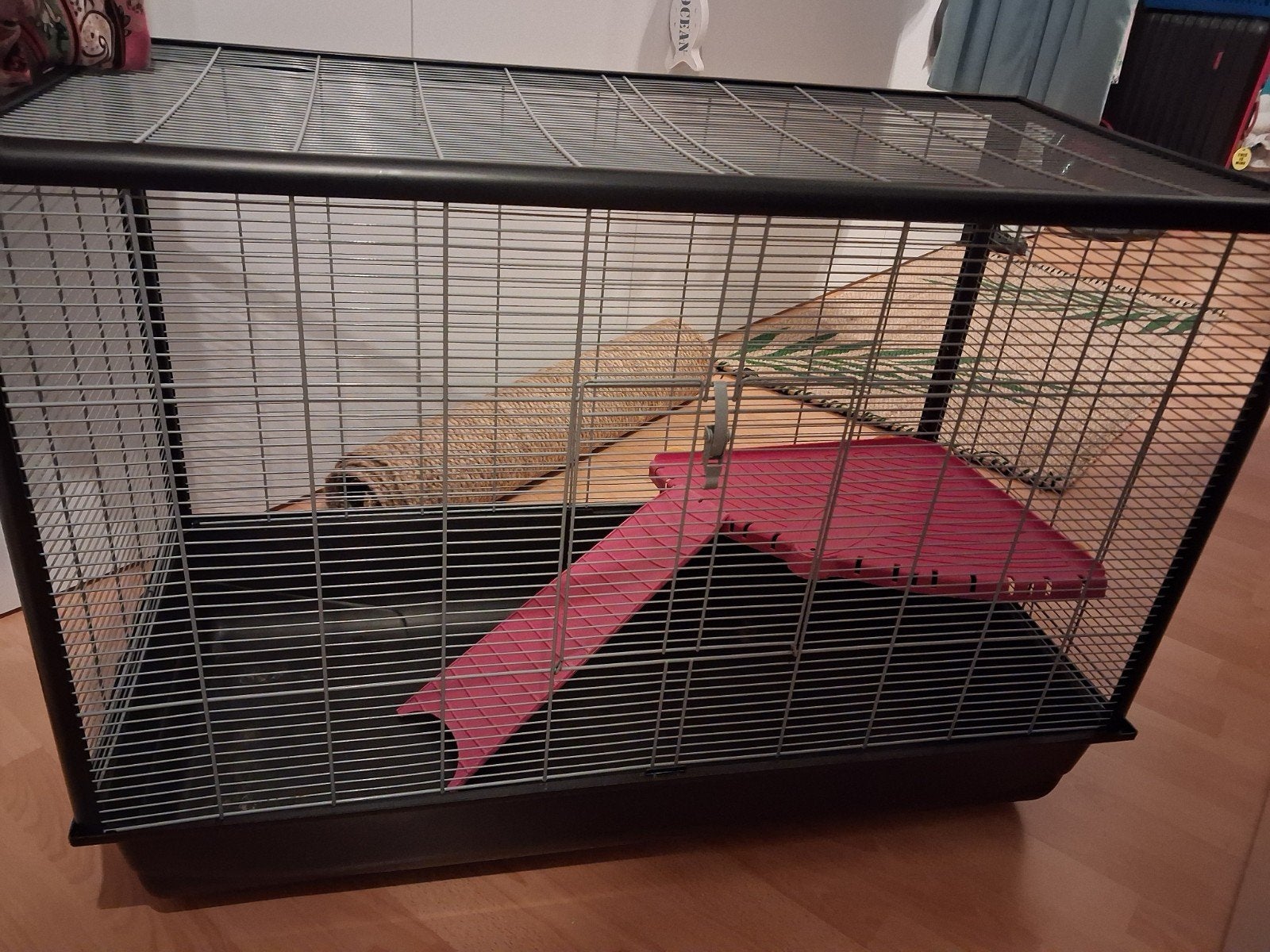Cage rongeur, Ophalen, Kooi, Gebruikt, 60 tot 90 cm