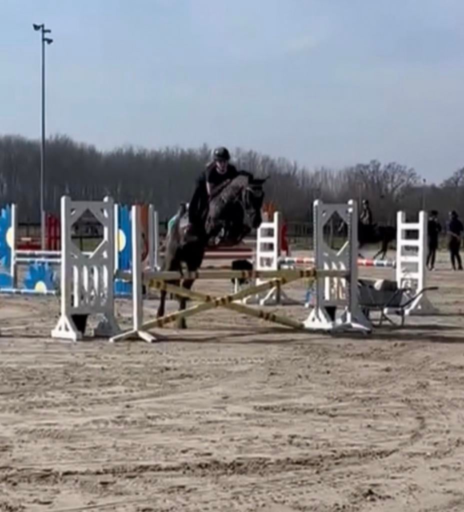 Paarden uitbrengen op wedstrijd/rijden, Twee personen