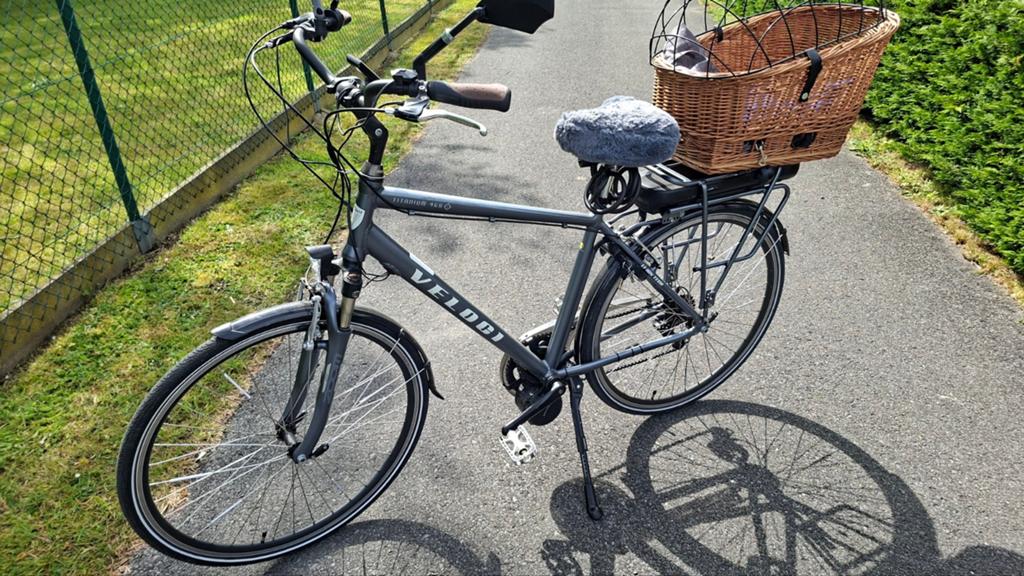 Elektrische herenfiets met middenmotor, Fietsen en Brommers, Elektrische fietsen, Ophalen