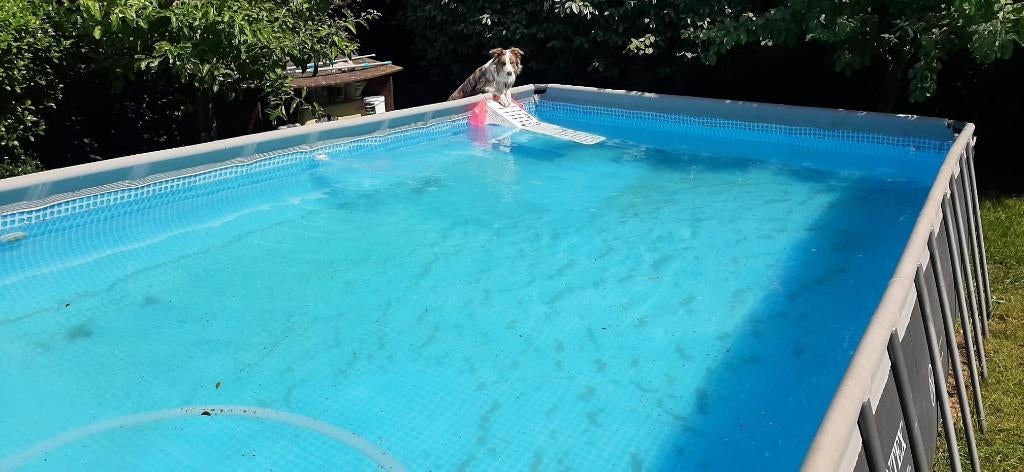 Piscine Intex ULTRA XTR, Jardin & Terrasse, 300 cm ou plus, Enlèvement, Utilisé, Rectangulaire