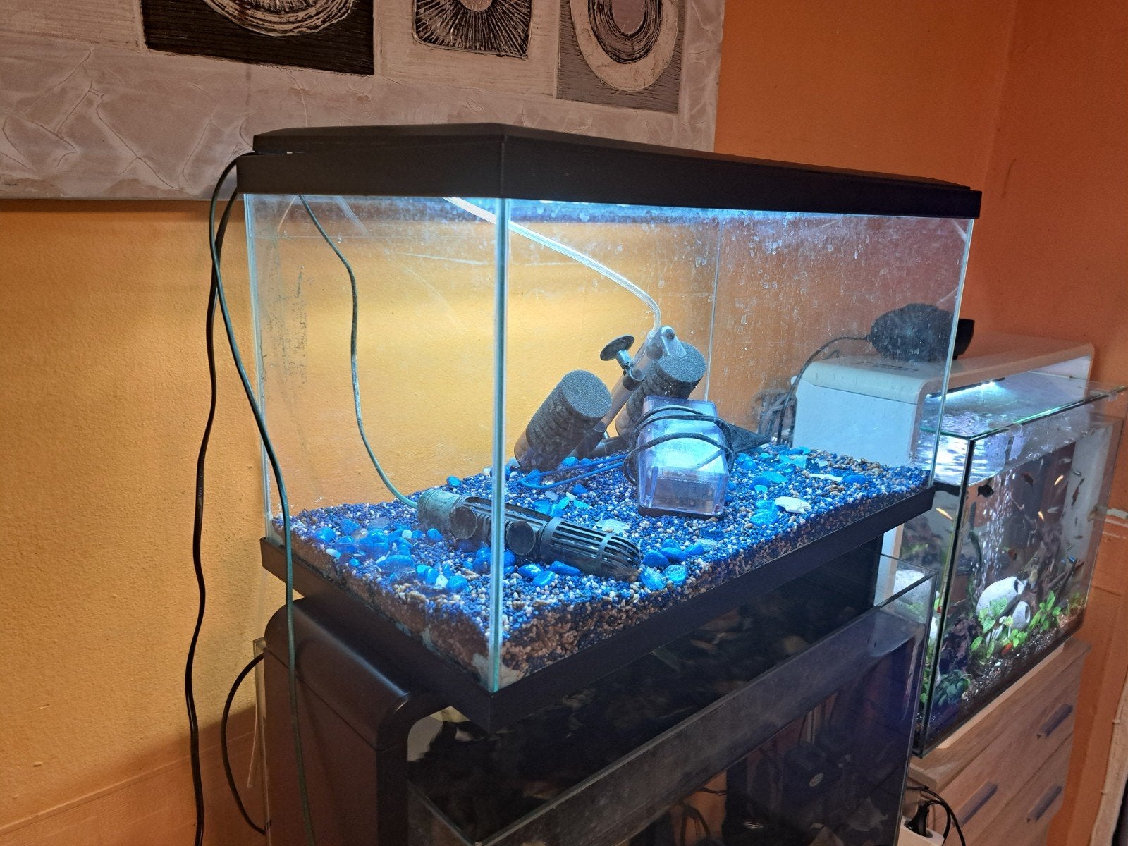 aquarium complet de 59/30/32, Animaux & Accessoires, Enlèvement, Pompe