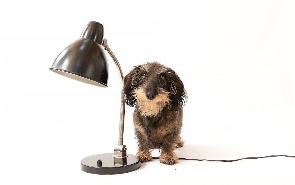 Vintage Design Bureaulamp Tafellamp Zwart Bauhaus stijl, Enlèvement