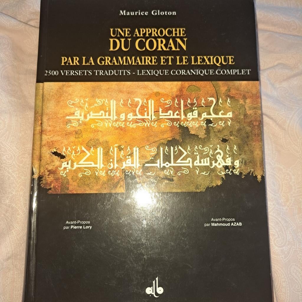 Une approche du Coran par la grammaire et le lexique, Enlèvement