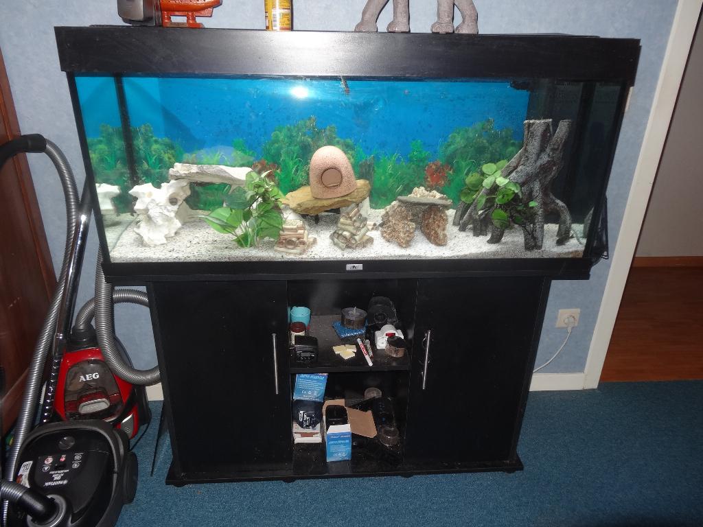 Aquarium Juwel Rio 240 LED + Meuble, Dieren en Toebehoren, Ophalen, Verwarming, Gebruikt, Leeg aquarium