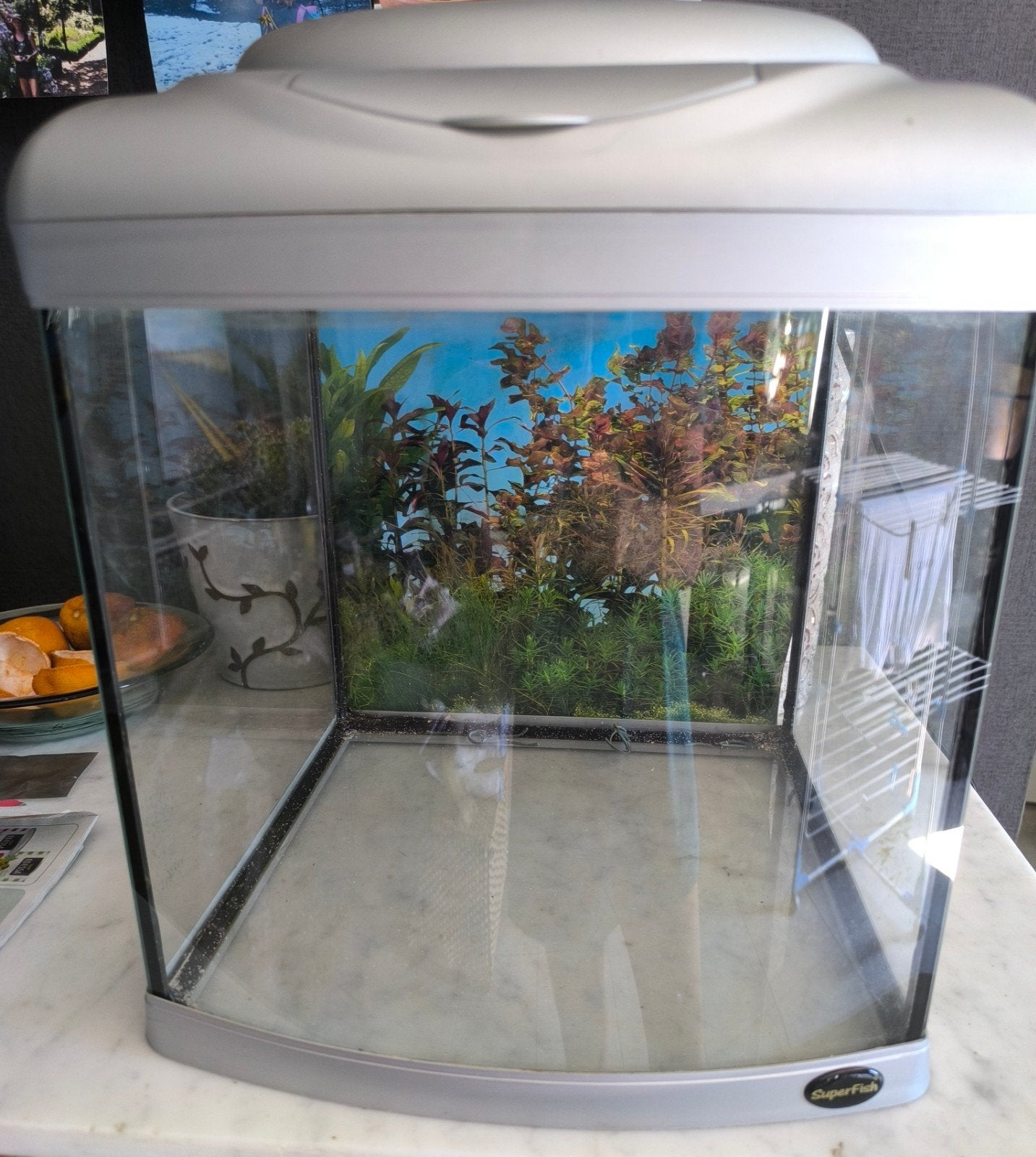 aquarium SuperFish, Dieren en Toebehoren, Ophalen, Gebruikt, Superfish, Inclusief deksel