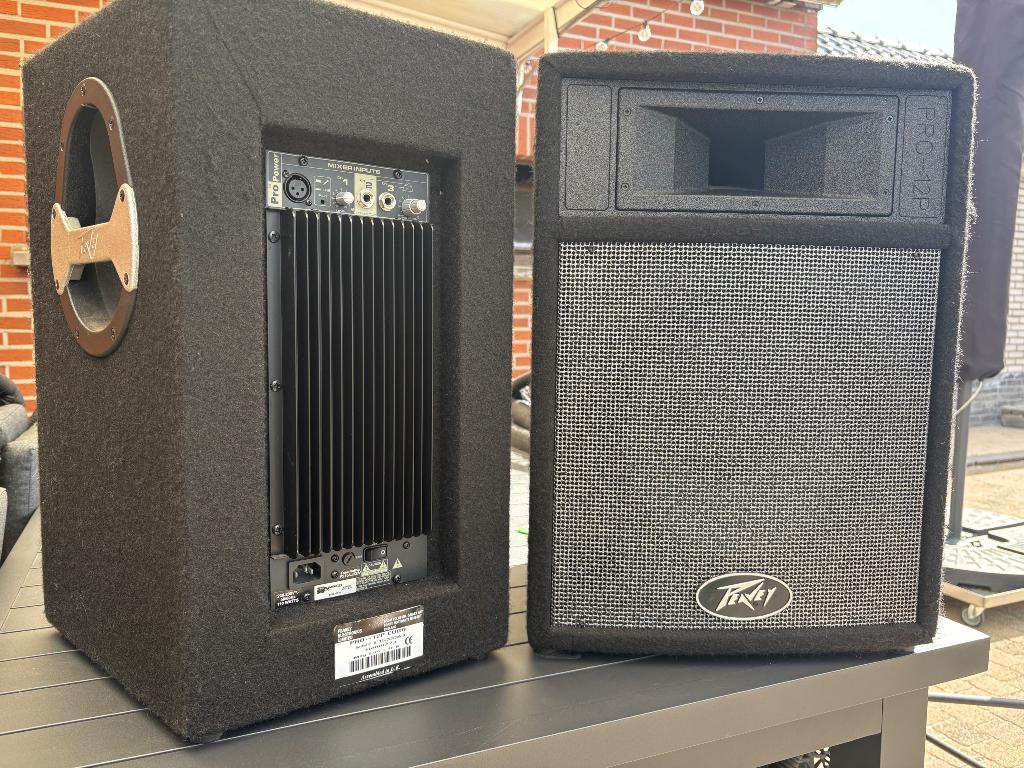 Luidspreker Peavey 2x, Musique & Instruments, Enlèvement, Utilisé