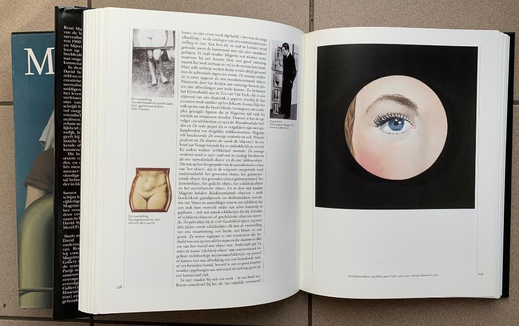 Rene Magritte : boek, Boeken, Ophalen, Zo goed als nieuw, Schilder- en Tekenkunst