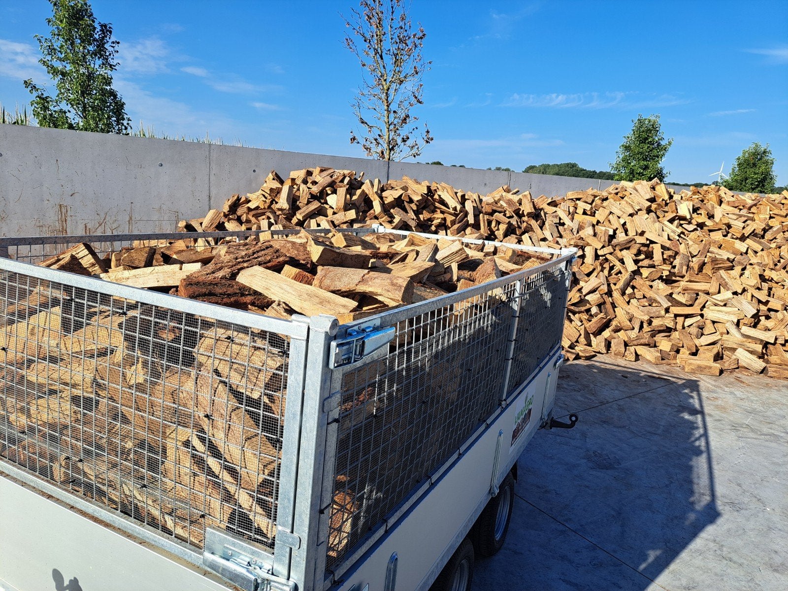 DROOG brandhout BEUK & EIK, Ophalen, Blokken