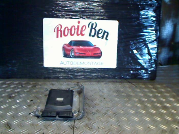 Ordinateur gestion moteur d'un Opel Signum, -, Opel, 3 mois de garantie, Utilisé