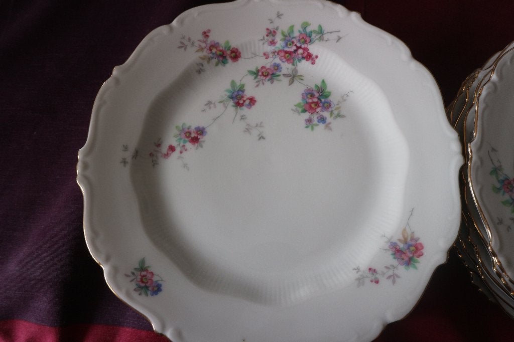 set van 12 SCHIRNDING entremets-borden, Ophalen