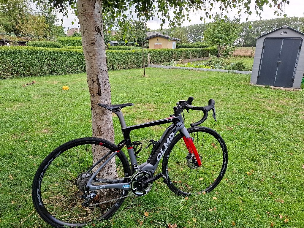VAE   Olmo  E -BRO, Autres marques, 10 à 15 vitesses, 49 à 53 cm, Enlèvement