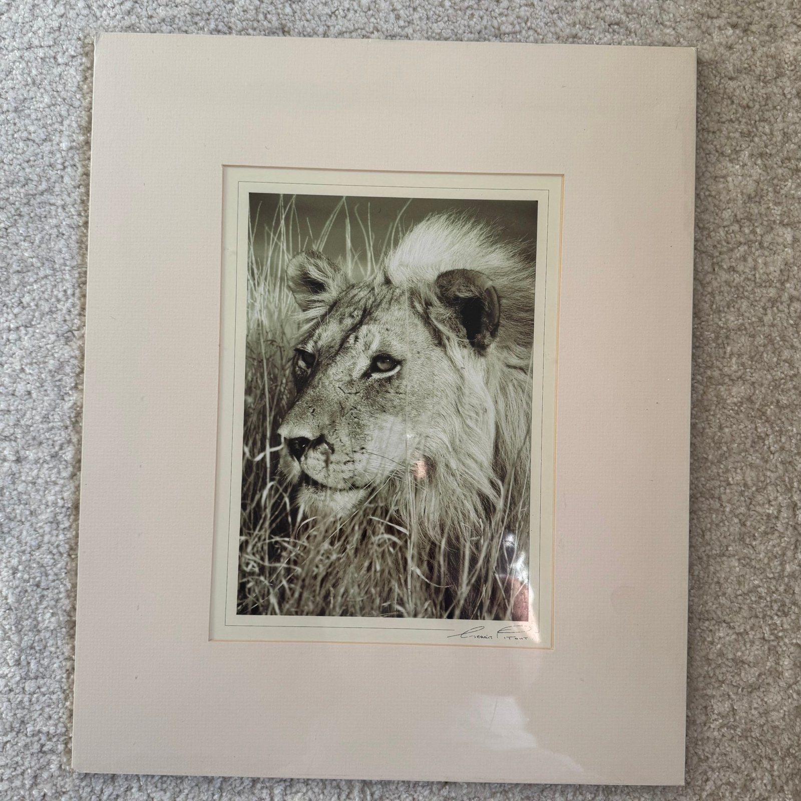 Originele print fotografie van Gerrit Pitout, Antiek en Kunst, Kunst | Etsen en Gravures, Ophalen