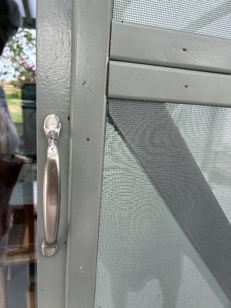 vliegendeur, Doe-het-zelf en Bouw, Ophalen, Gebruikt, 80 tot 100 cm, Buitendeur