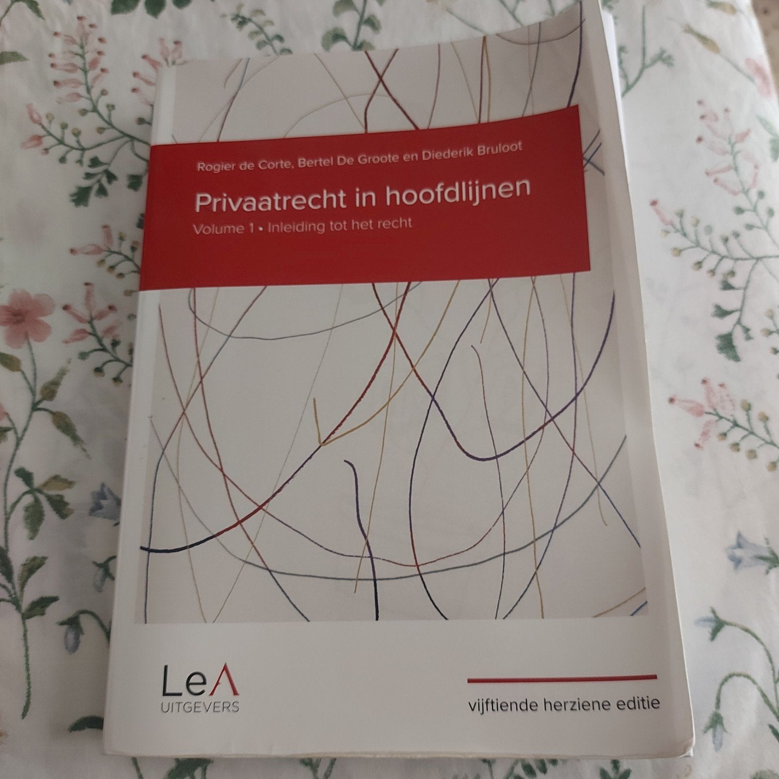 Rogier de Corte - Privaatrecht in hoofdlijnen 15de editie, Boeken, Ophalen, Rogier de Corte; Bertel De Groote; Diederik Bruloot
