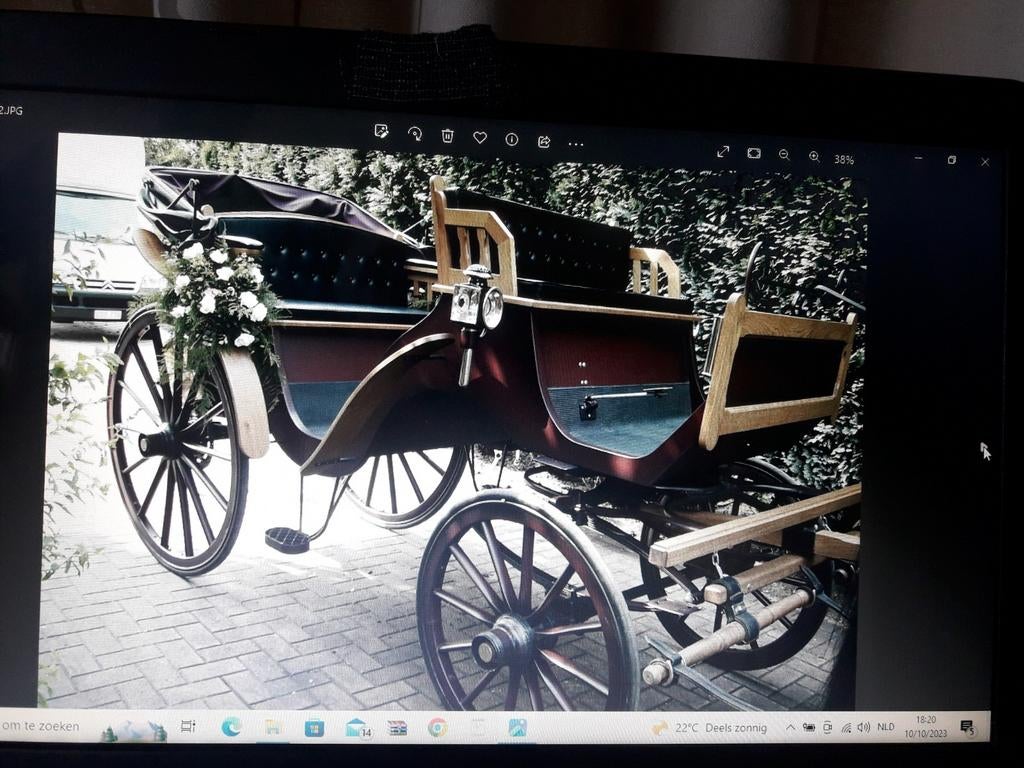 Luxe rijtuig !!!, Dieren en Toebehoren