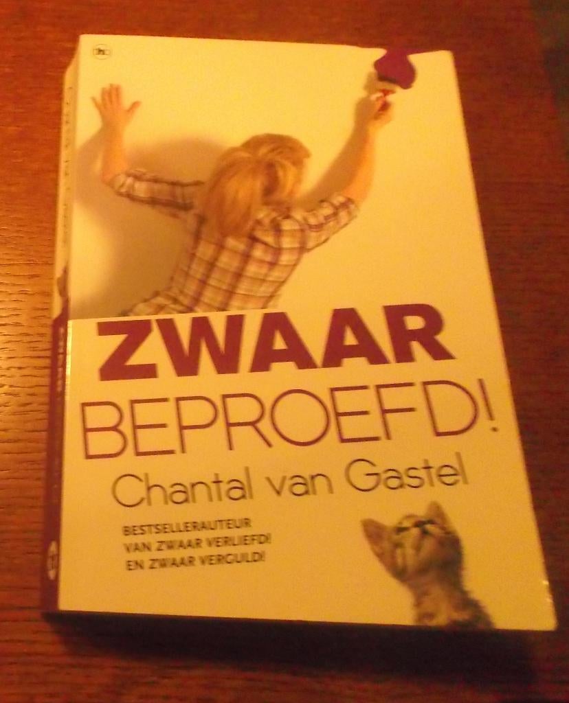 Zwaar beproefd / Chantal van Gastel, Boeken, Chicklit, Zo goed als nieuw, Ophalen