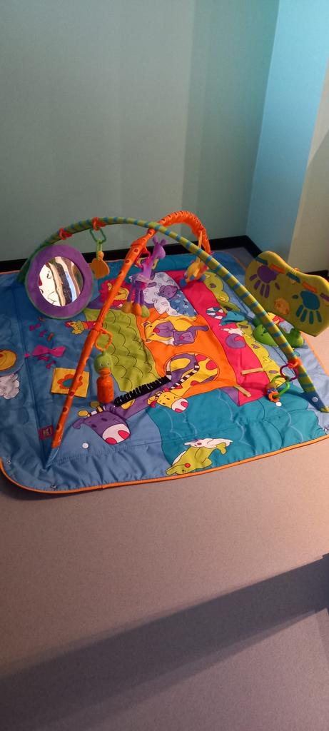 Speelmat tiny love, Kinderen en Baby's, Ophalen, Gebruikt