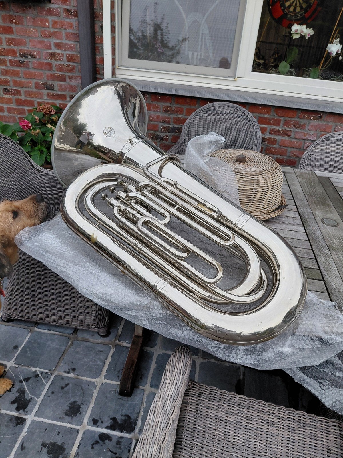 grote bas  si b tuba eufonium, Ophalen