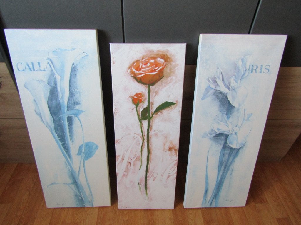 Mooie kaders met printdruk 3 stuks, Antiek en Kunst, Ophalen, Dieren en Natuur
