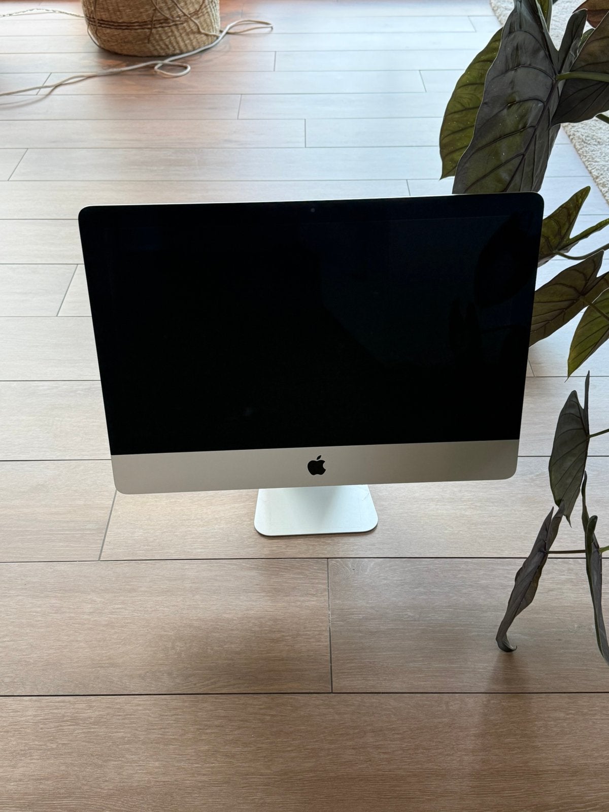 iMac 21,5-inch Late 2015 | 2,8GHz Quad i5 | 256GB SSD | 8GB, Informatique & Logiciels, Apple Desktops, Utilisé, iMac, SSD, 2 à 3 Ghz