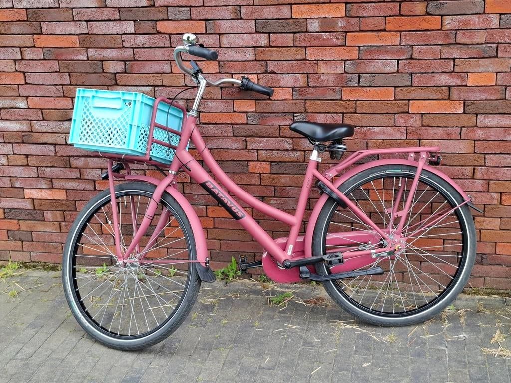 Batavus Pack 3 Cassis 26", 3 vitesses, Nexus, Vélos & Vélomoteurs, Vélos | Filles, Utilisé, 26 pouces ou plus, Vitesses, Frein à rétropédalage