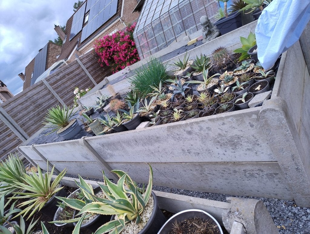 gratis plantenbakken, Enlèvement, Utilisé, Boîte de culture