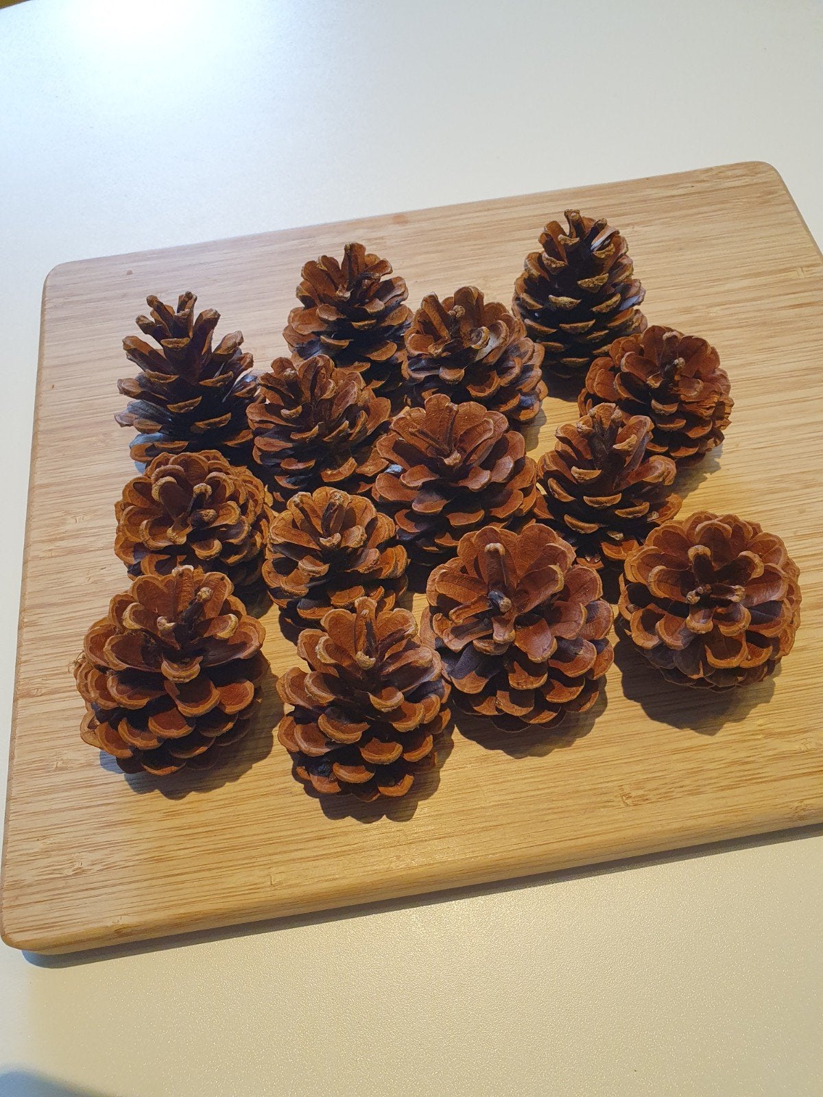 Dennenappels, Ophalen