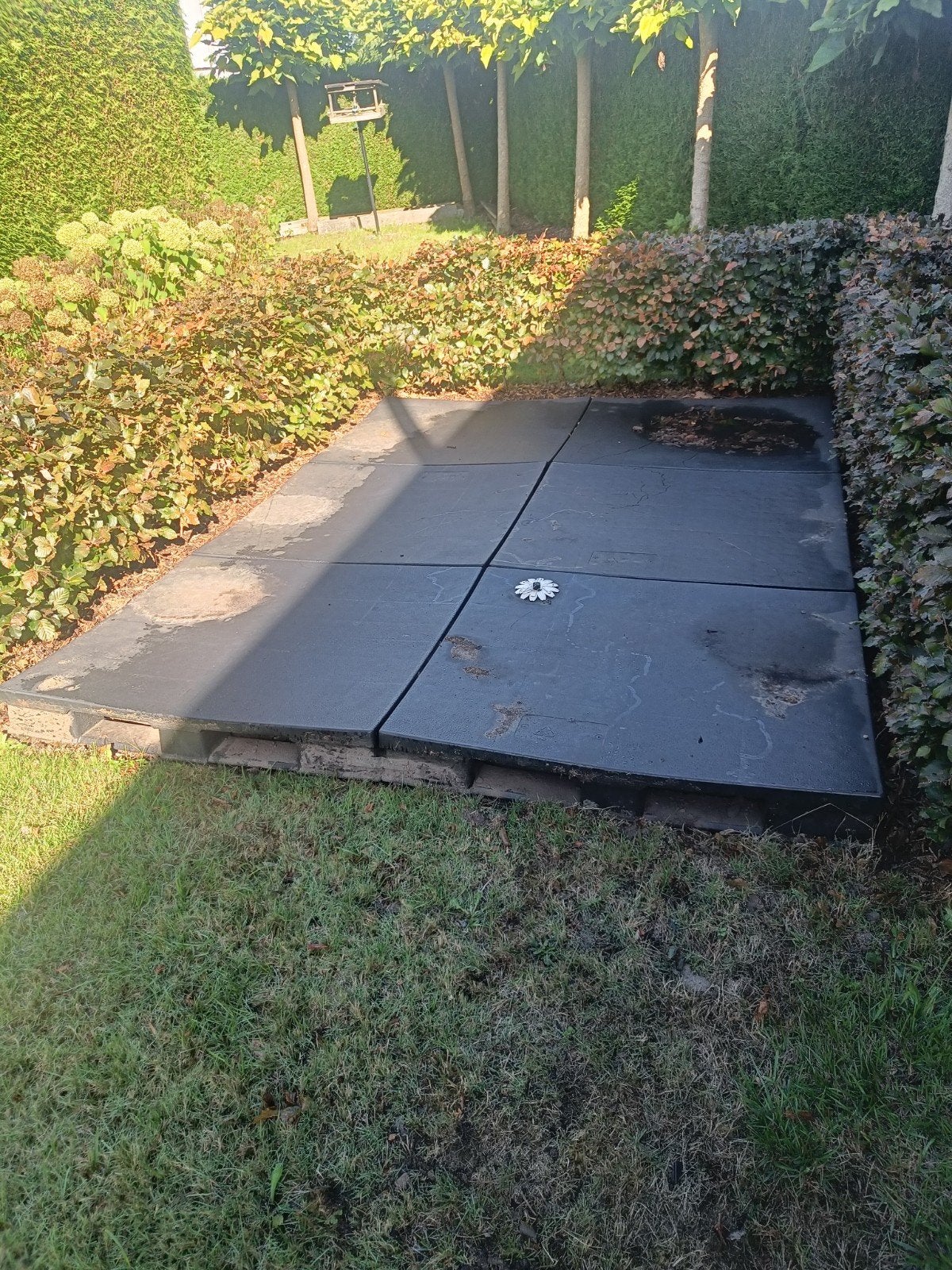 6 kunstof terras paletten, Jardin & Terrasse, Terrasses, Enlèvement, Utilisé, Synthétique