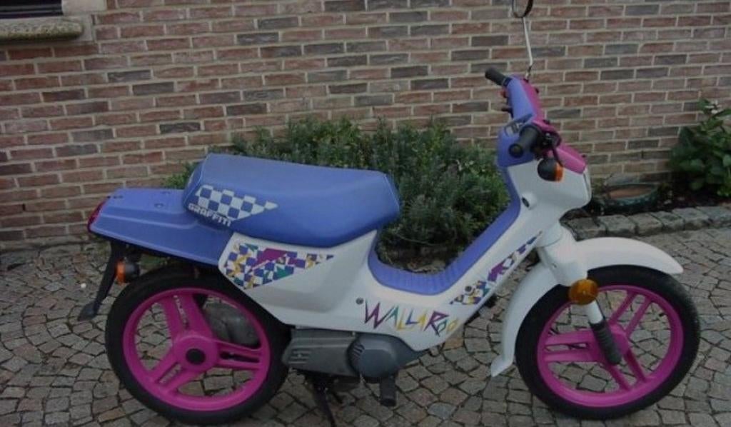 Recherche honda wallaroo safari cricket ou autre, Enlèvement ou Envoi