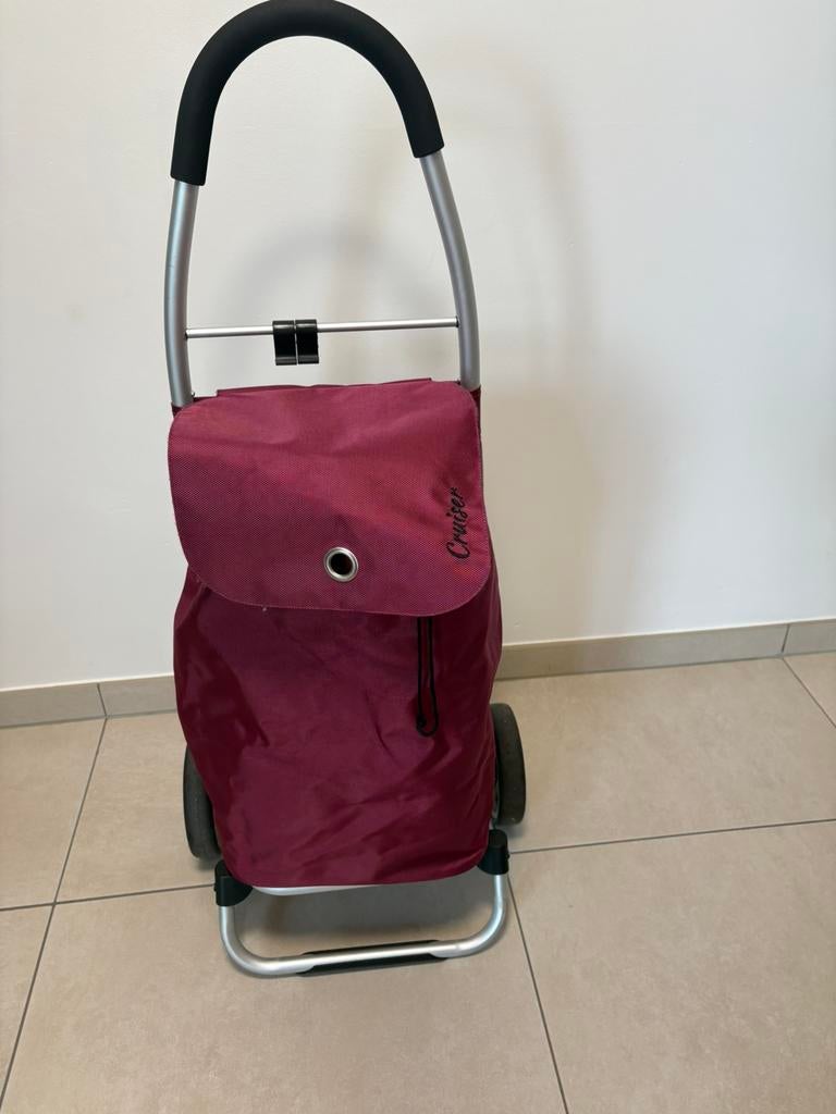 CarryOn ShoppingCruiser, Handtassen en Accessoires, 30 cm of meer, Gebruikt, 55 tot 75 cm, Wieltjes