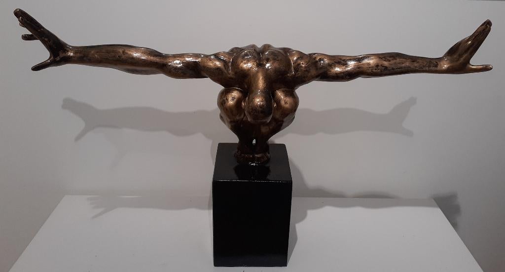 "The swimmer", Antiek en Kunst, Ophalen