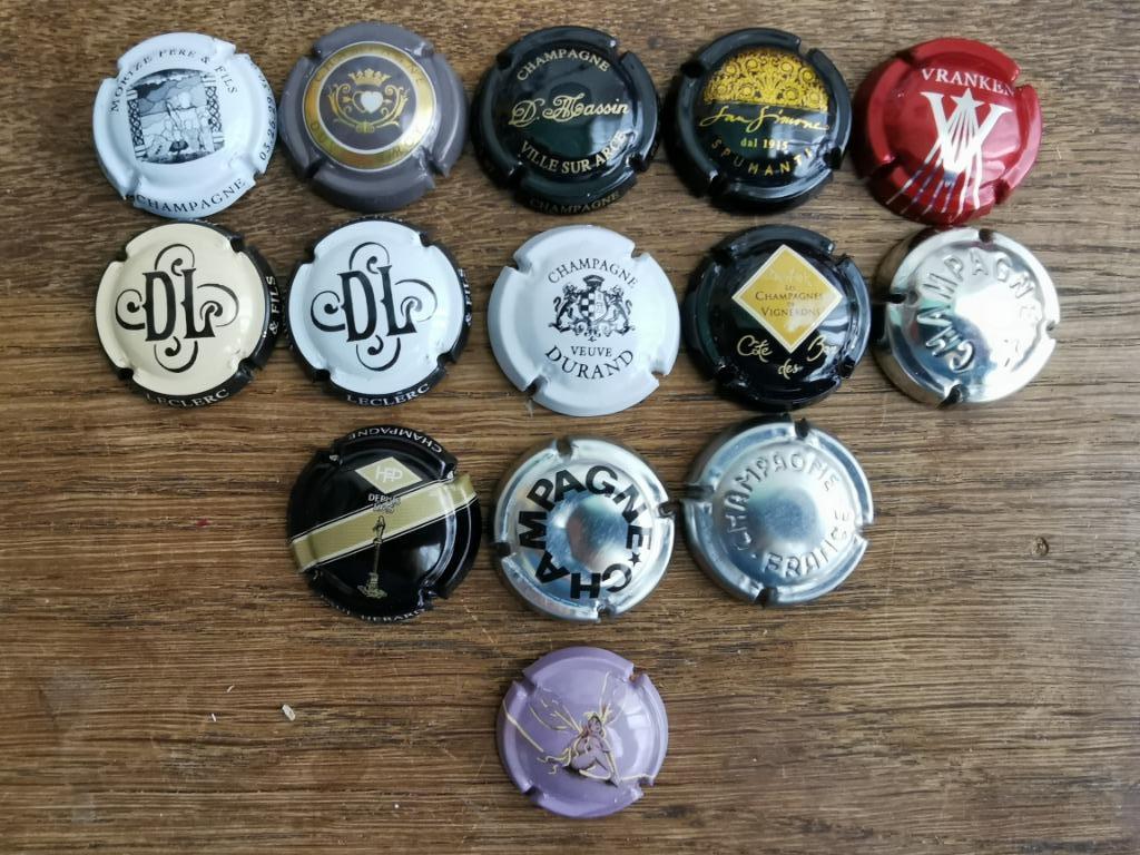Champagne capsules - champagne doppen 14 stuks, Ophalen of Verzenden, Gebruikt, Frankrijk, Champagne